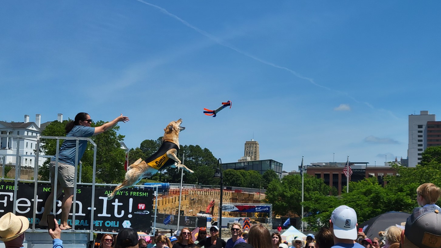 Dominion Energy Riverrock Festival 2.jpg